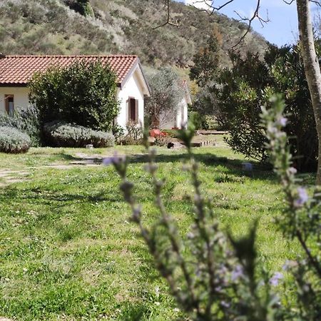 פוטנצה Taverna Centomani מראה חיצוני תמונה