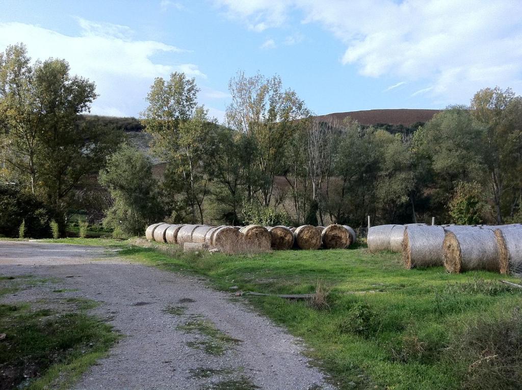 פוטנצה Taverna Centomani מראה חיצוני תמונה